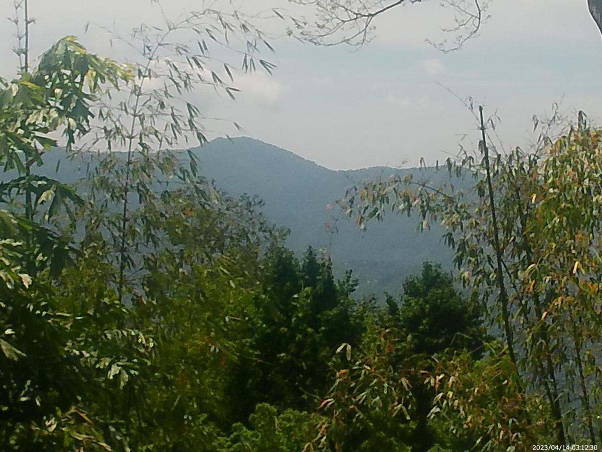Mountain View Homestay カリンポン エクステリア 写真
