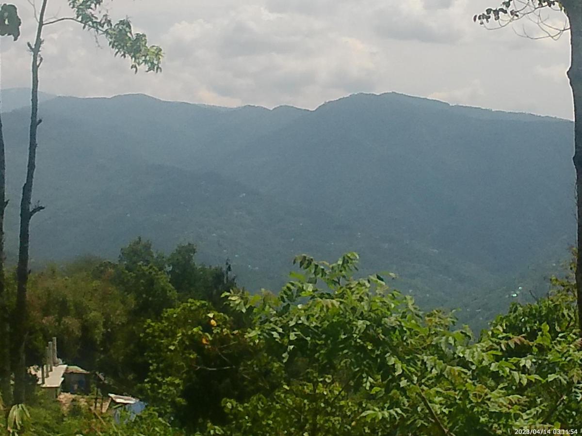 Mountain View Homestay カリンポン エクステリア 写真