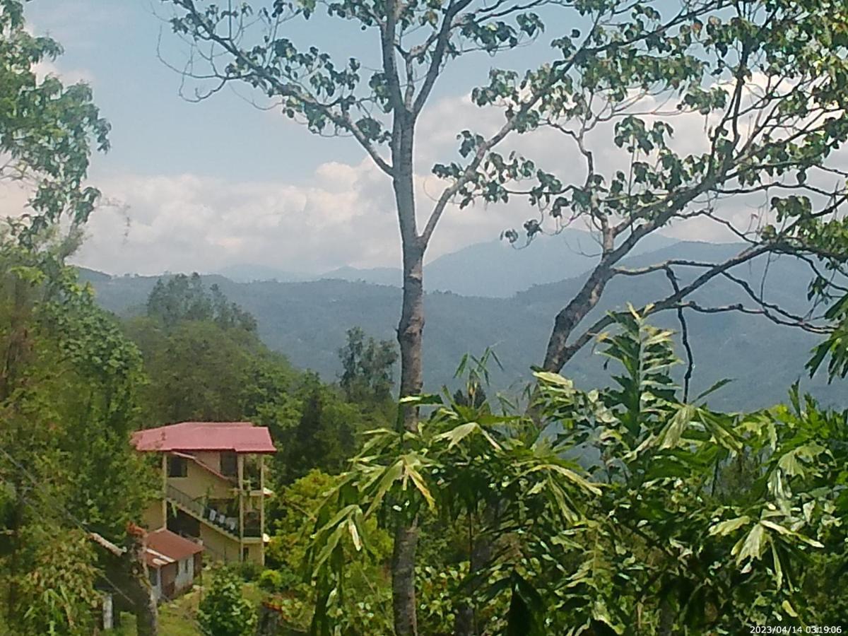 Mountain View Homestay カリンポン エクステリア 写真